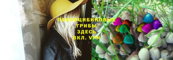 PSILOCYBIN Володарск