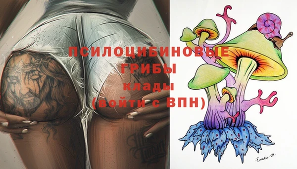 винт Арсеньев