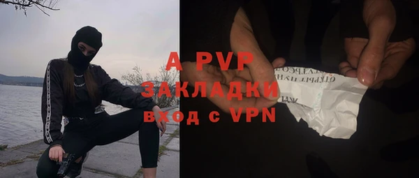 винт Арсеньев