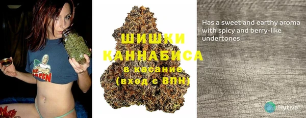 винт Арсеньев